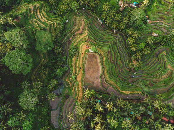 Où trouver les meilleures écoles de surf pour débutants à Bali, Indonésie?